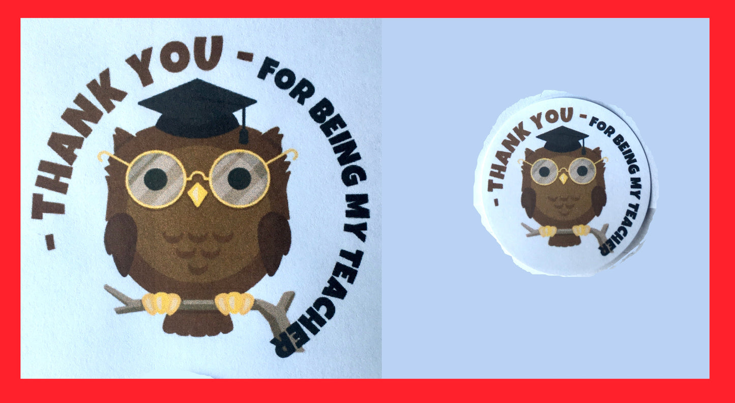 x24 40mm Thank You Teacher Owl Labels Stickers